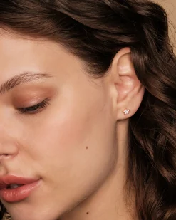 PAVOI Studs-Celestial Studs