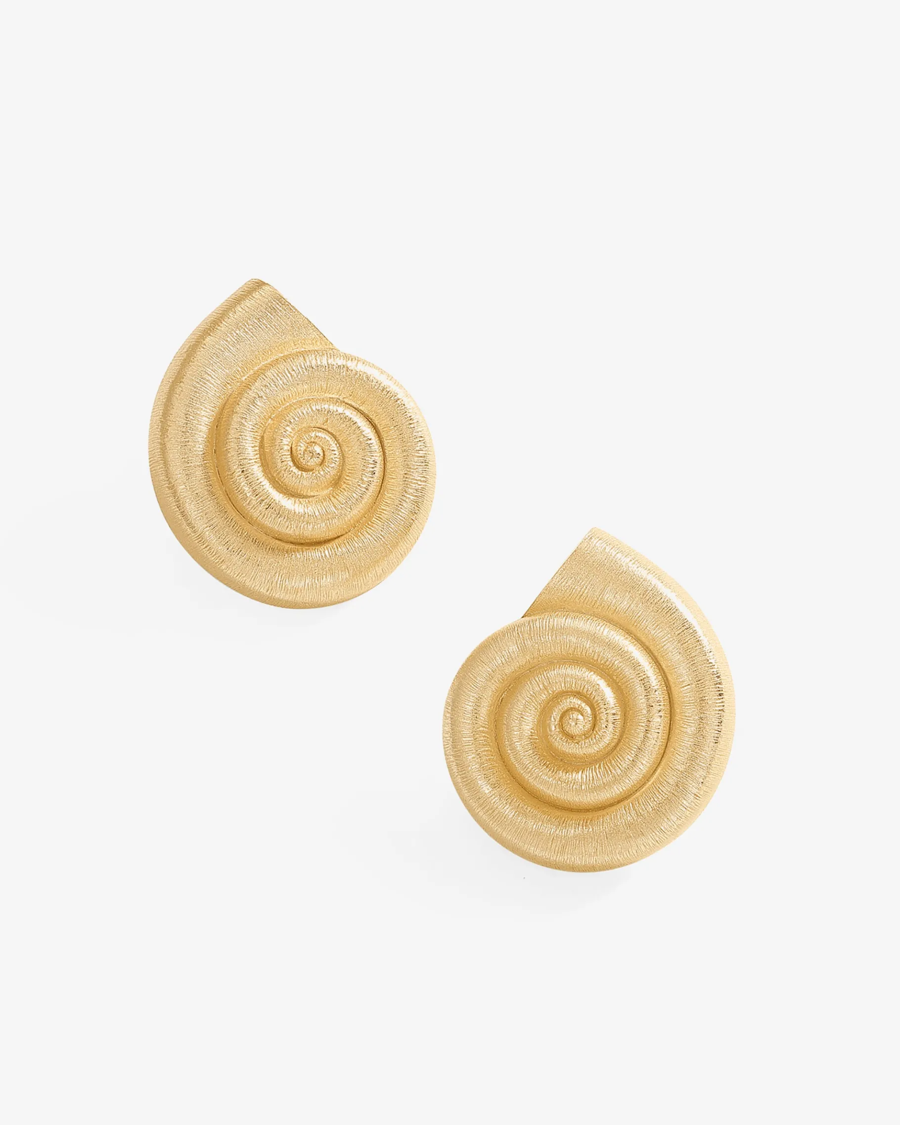 PAVOI Statement|Studs-Conch Earrings