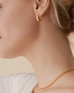 PAVOI Hoops-Luisa Hoops