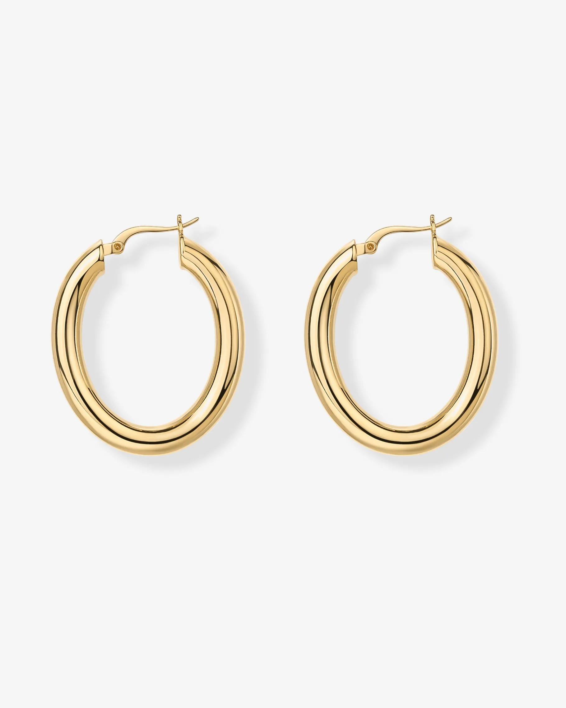PAVOI Hoops-Oval Chunky Hoops