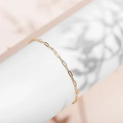 PAVOI All Anklets|Chain-Paperclip Anklet