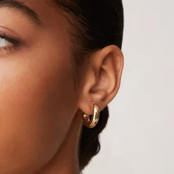 PAVOI Hoops-Round Chunky Hoops