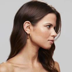 PAVOI Hoops-Round Chunky Hoops