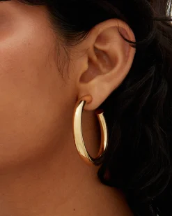 PAVOI Hoops-Round Chunky Hoops
