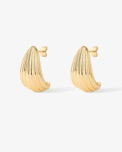 PAVOI Statement|Studs-Seashell Stud Earrings