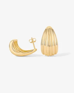 PAVOI Statement|Studs-Seashell Stud Earrings