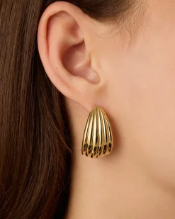 PAVOI Statement|Studs-Seashell Stud Earrings