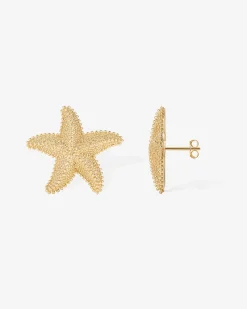 PAVOI Statement|Studs-Starfish Statement Earrings