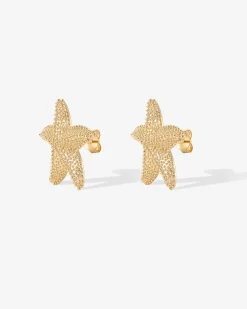 PAVOI Statement|Studs-Starfish Statement Earrings