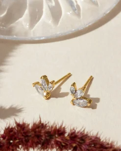 PAVOI Studs-Trill Studs