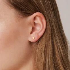 PAVOI Vermeil Earrings-Vermeil Astral Studs