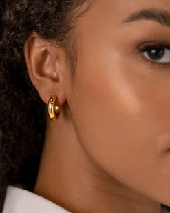 PAVOI Vermeil Earrings-Vermeil Round Chunky Hoops